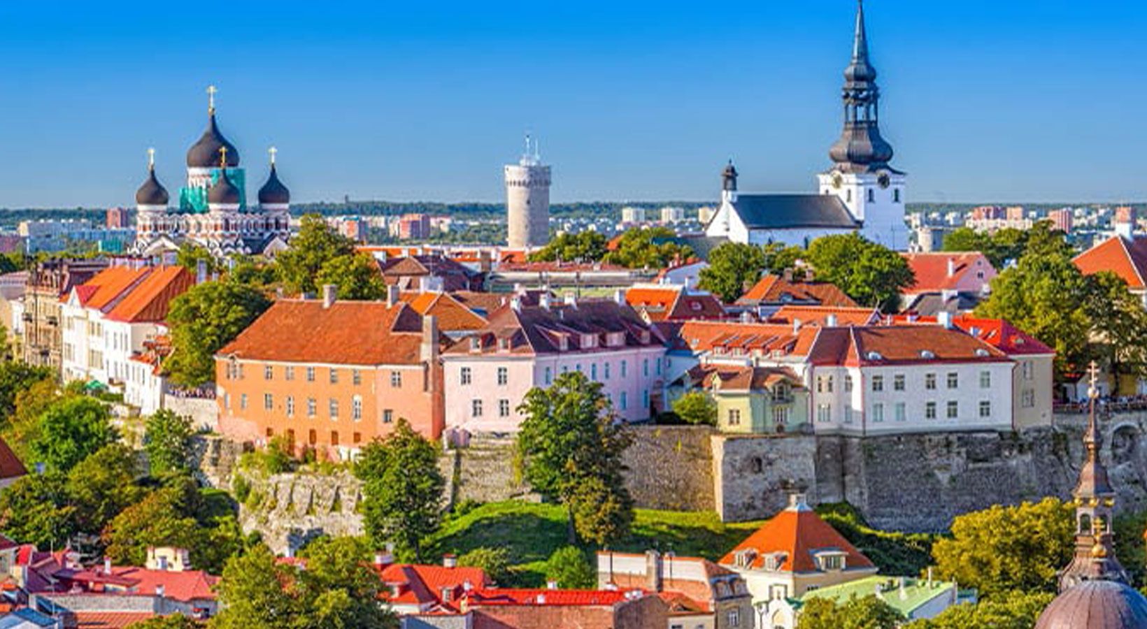 igel umzüge Umzugsunternehmen Umzug berlin Estland
