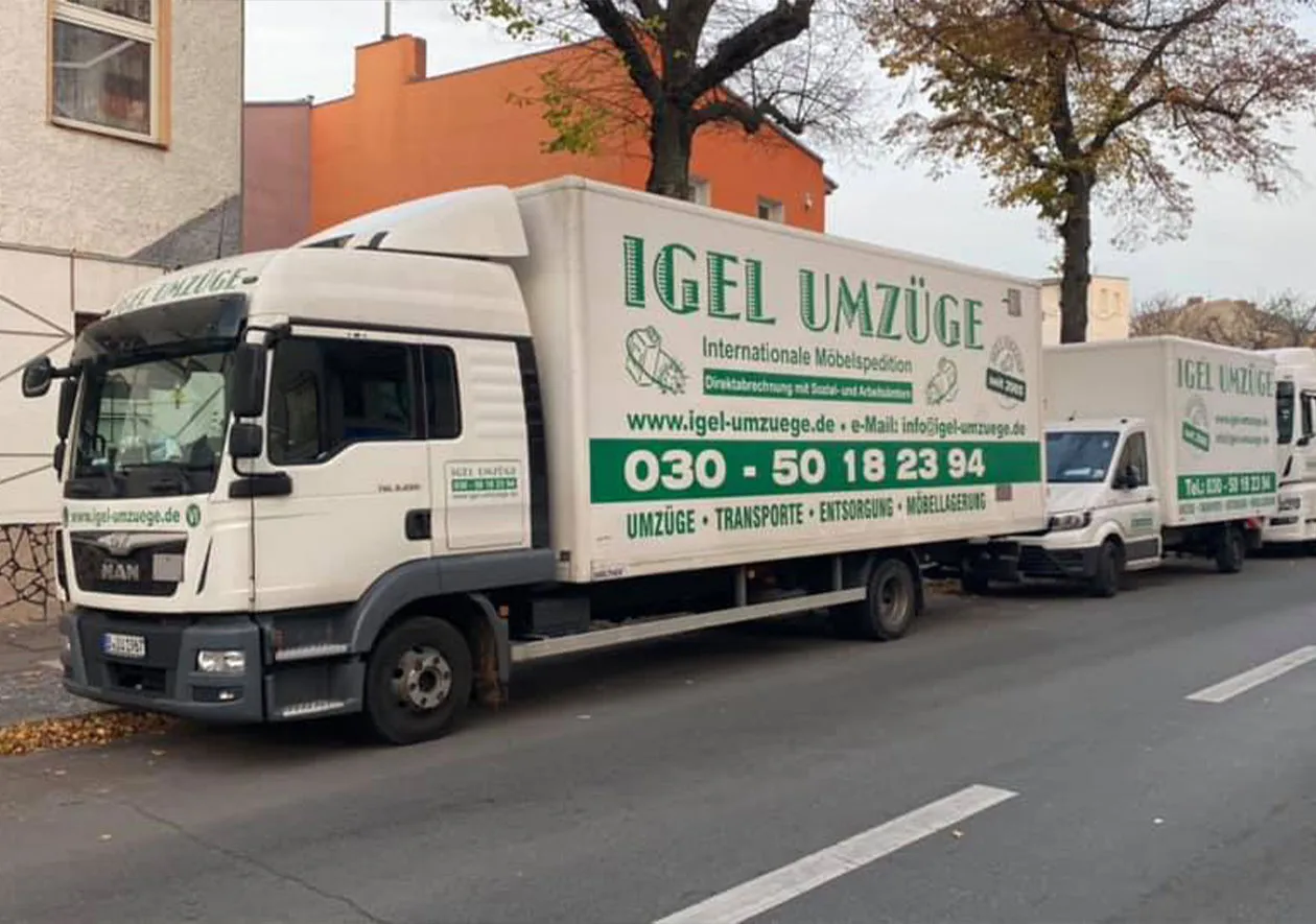 igel umzüge umzugsunternehmen berlin Düsseldorf